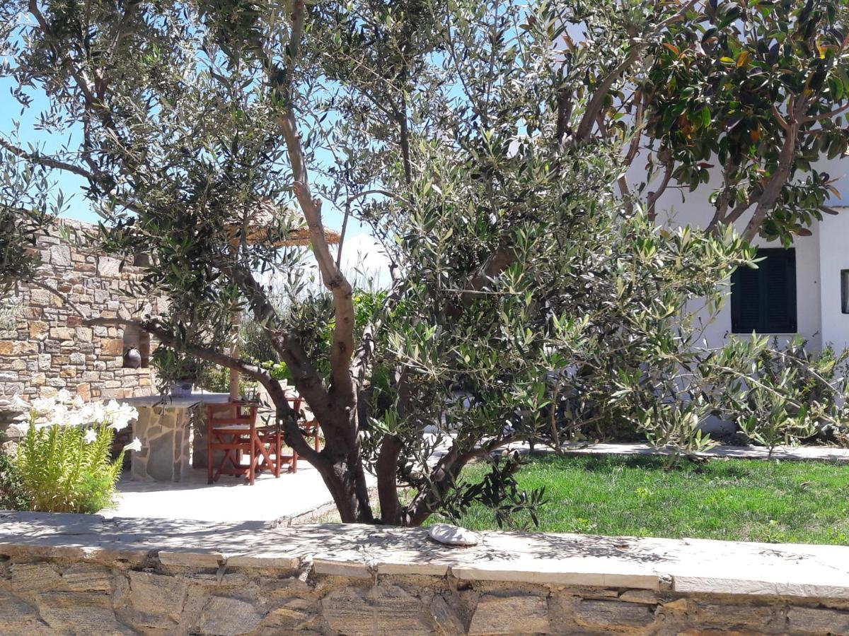 Elpidas Studios Agia Anna  ภายนอก รูปภาพ